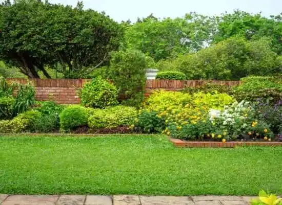 landscaping services University Heights